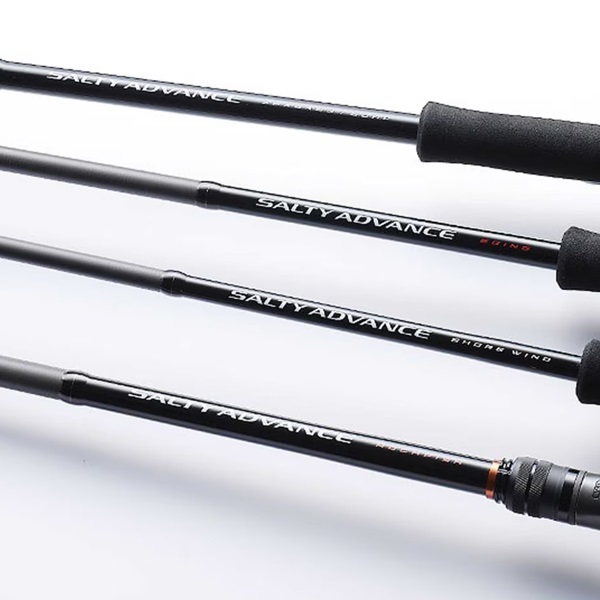 25  SALTY ADVANCE エギング